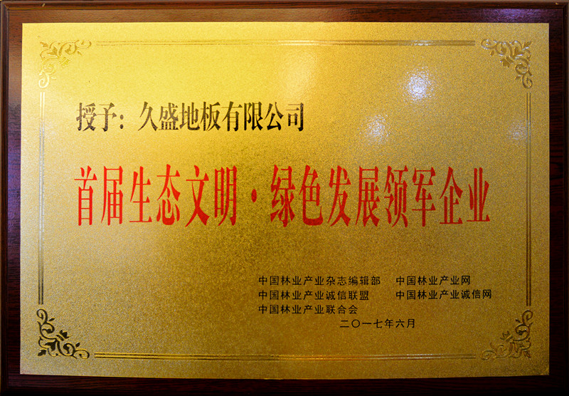 首届生态文明.绿色发展领军企业_副本.jpg